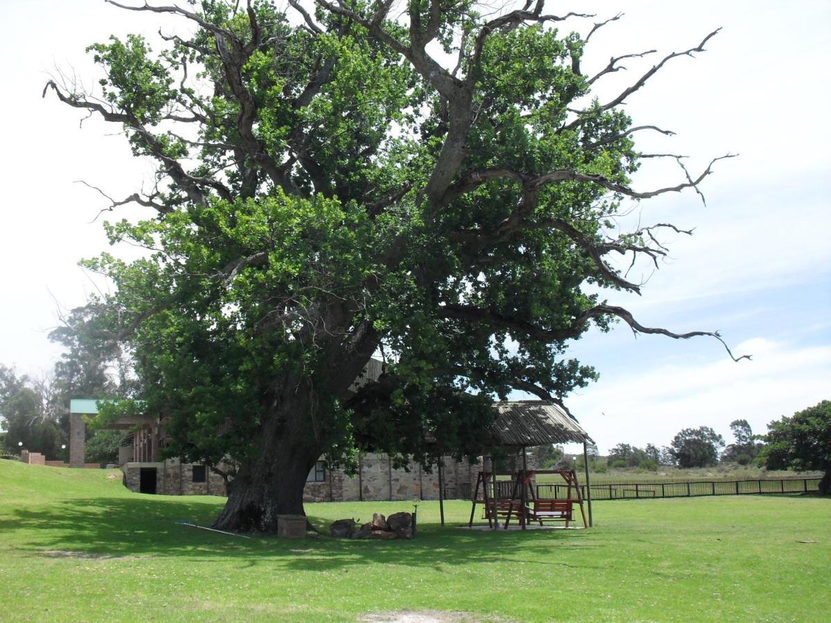 הוילה Kareedouw Soloko Game Farm מראה חיצוני תמונה